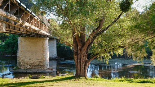 le Pont