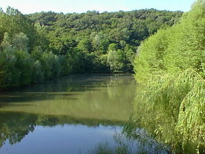 Plan d'eau les Champbons