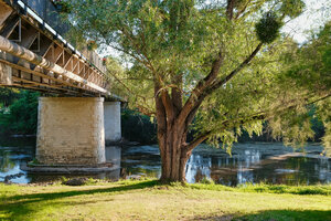 le Pont